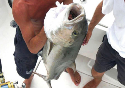 Poseidon Fishing